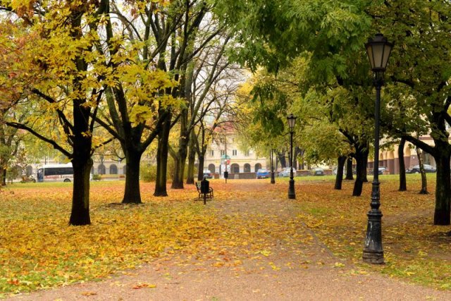 Лодзькі хроніки: будні й качки