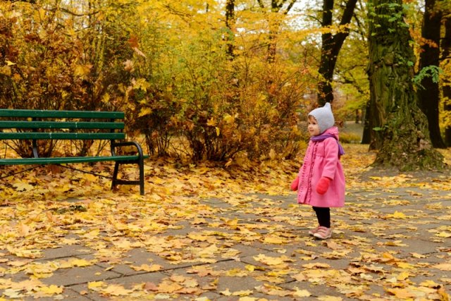 Лодзькі хроніки: будні й качки