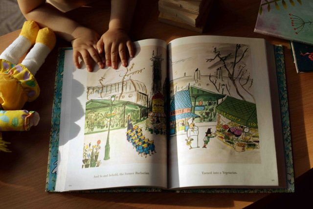 Данусині книжки - продовження