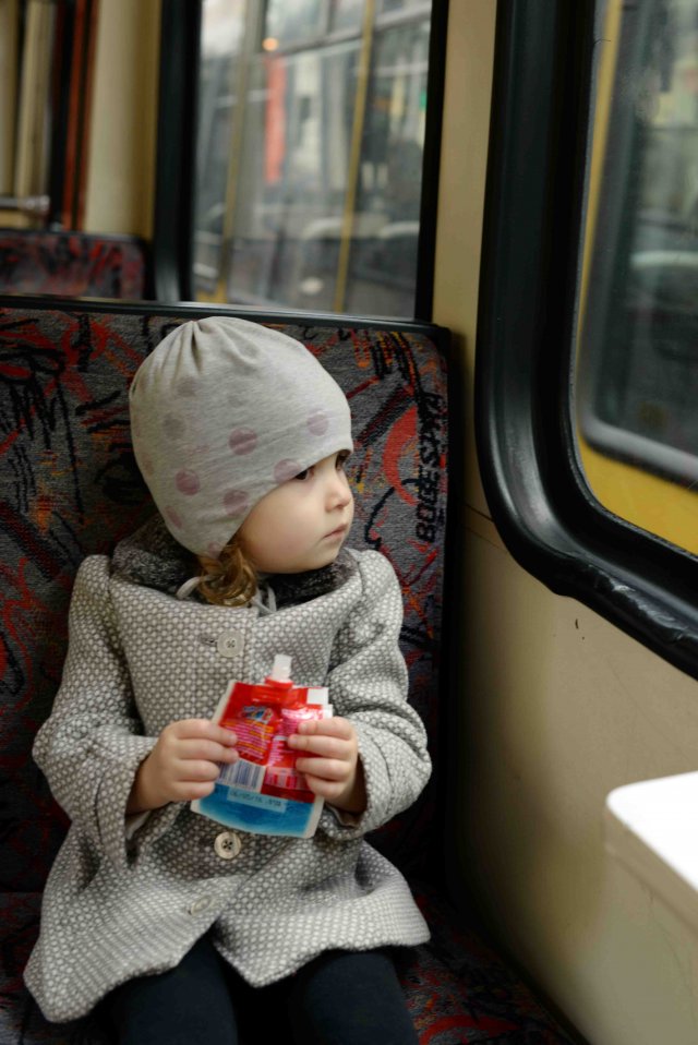Щоденникове: бджоли, гніздо і альпінізм