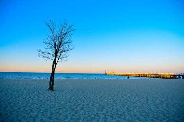 Про дні, в які несподівано трапилось море