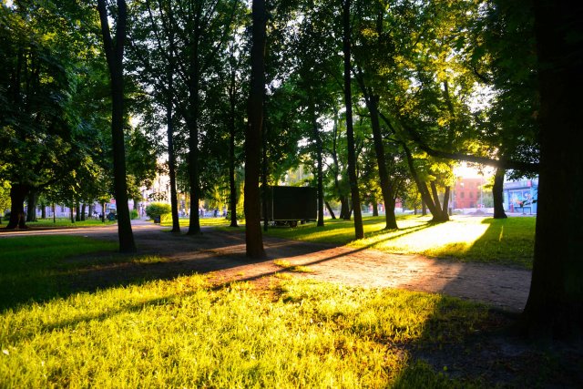 100 днів літа: 63-69