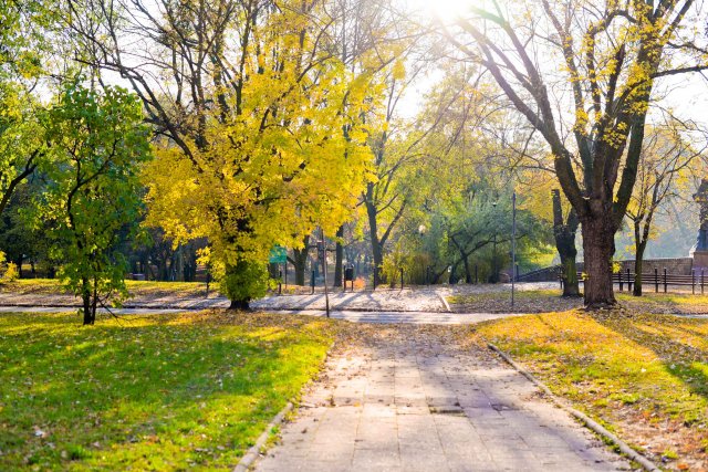 Про найкраще в місяці – жовтень