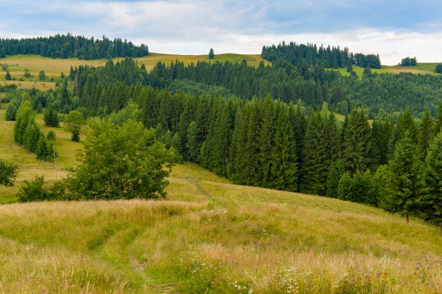 Терапія в-тиш-енням