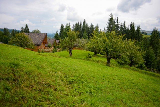 Терапія в-тиш-енням