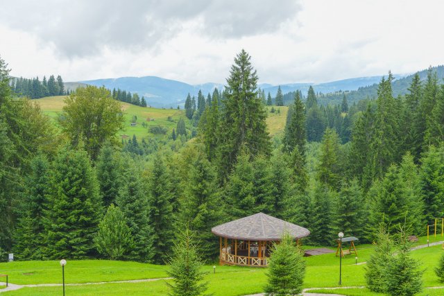 Терапія в-тиш-енням