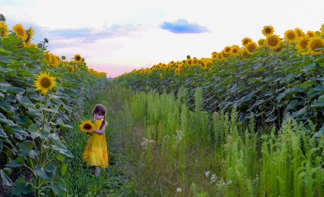 Виосіннюється
