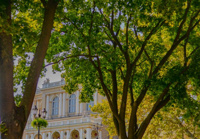Морська втеча з-поміж буднів