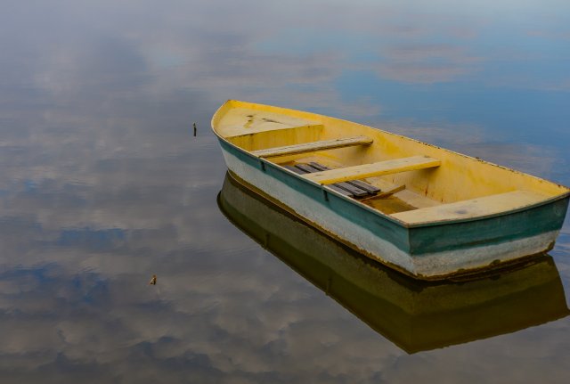 Усе це світло