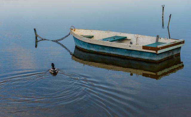 Усе це світло