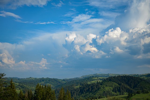 Ще про тишу і радість